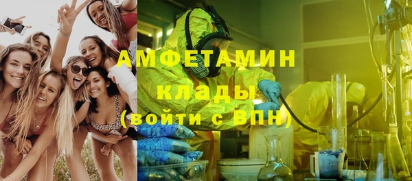 стафф Новозыбков