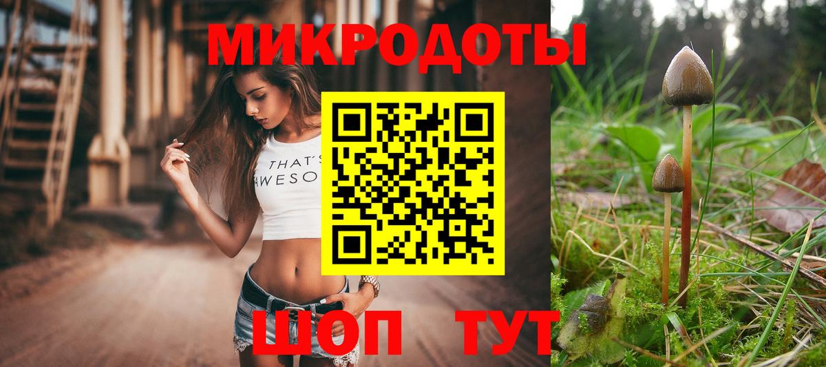 Псилоцибиновые грибы Psilocybine cubensis Луховицы
